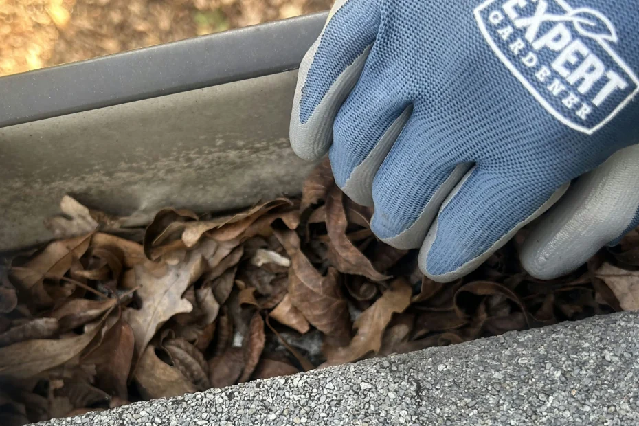 Gutter Cleaning Bedford